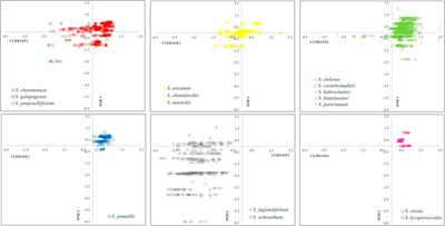 Edaphoclimatic Descriptors of Wild Tomato Species (Solanum Sect. Lycopersicon) and Closely Related Species (Solanum Sect. Juglandifolia and Sect. Lycopersicoides) in South America